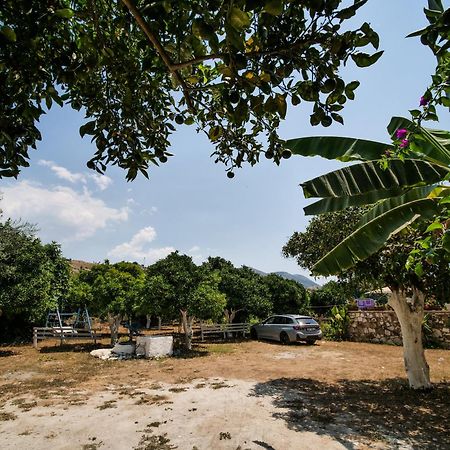 الشقق الفندقية هيماريفي  Orchard Retreat المظهر الخارجي الصورة