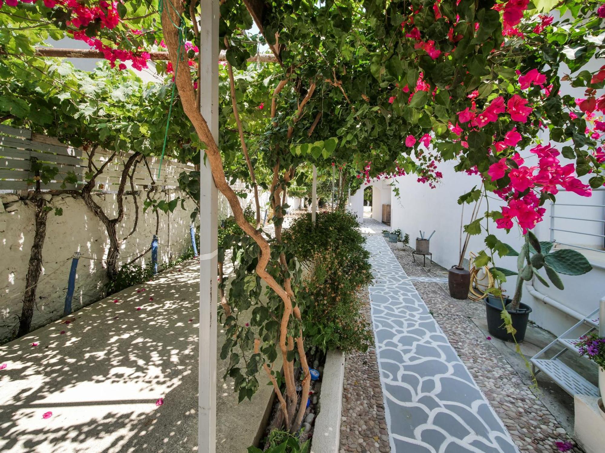 الشقق الفندقية هيماريفي  Orchard Retreat المظهر الخارجي الصورة